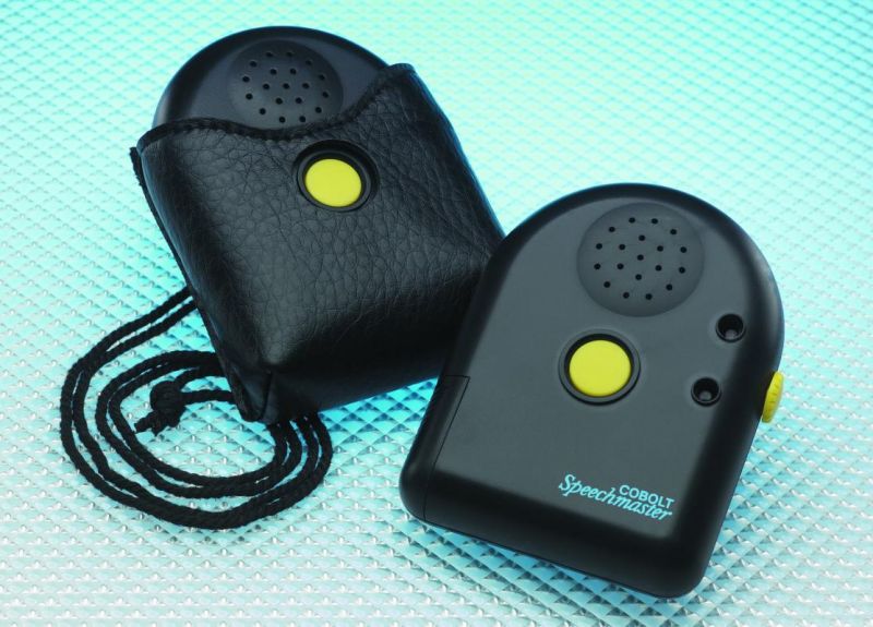 Talking Clock Dual Voice Single Button