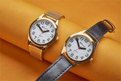 Watch Easy to See W6